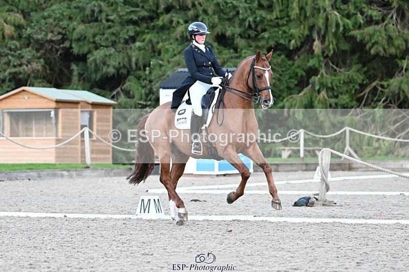 231110-163937-02708 - Cls 14 FEI Grand Prix