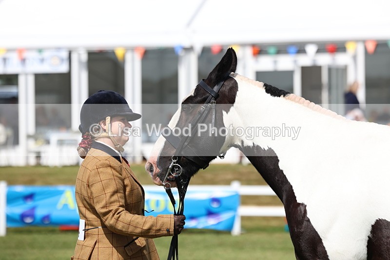 3E7A0050 - Class 5: Rising Star Lightweight/Heavyweight Cobs