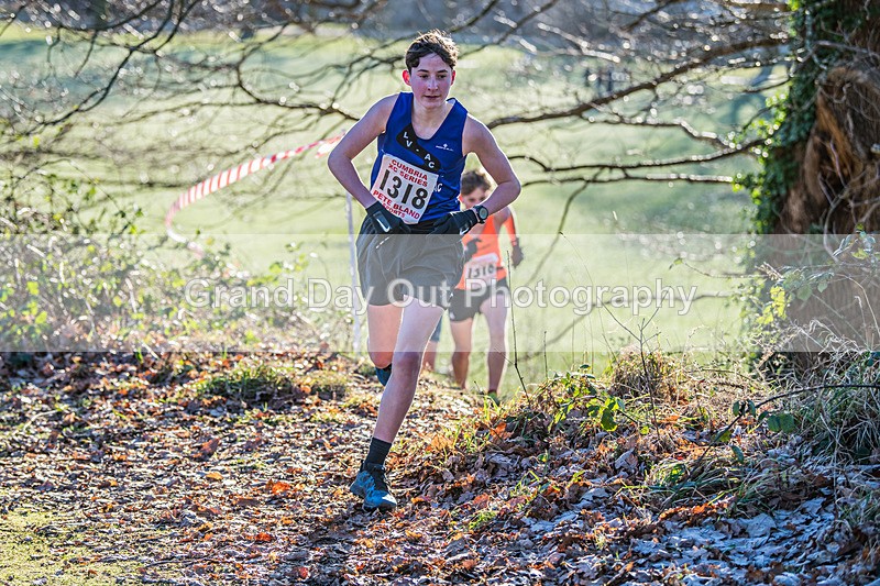 Cumbria XC-471 - Cumbria Cross Country Championships (Junior & Senior Races) Saturday 3rd January 2026