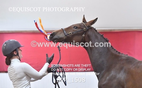 BPP_1508 - MORNING 9AM - 12PM