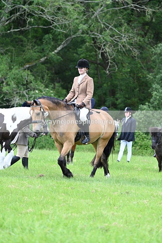 WJ7_1405 - Class 11 Condition & Turnout