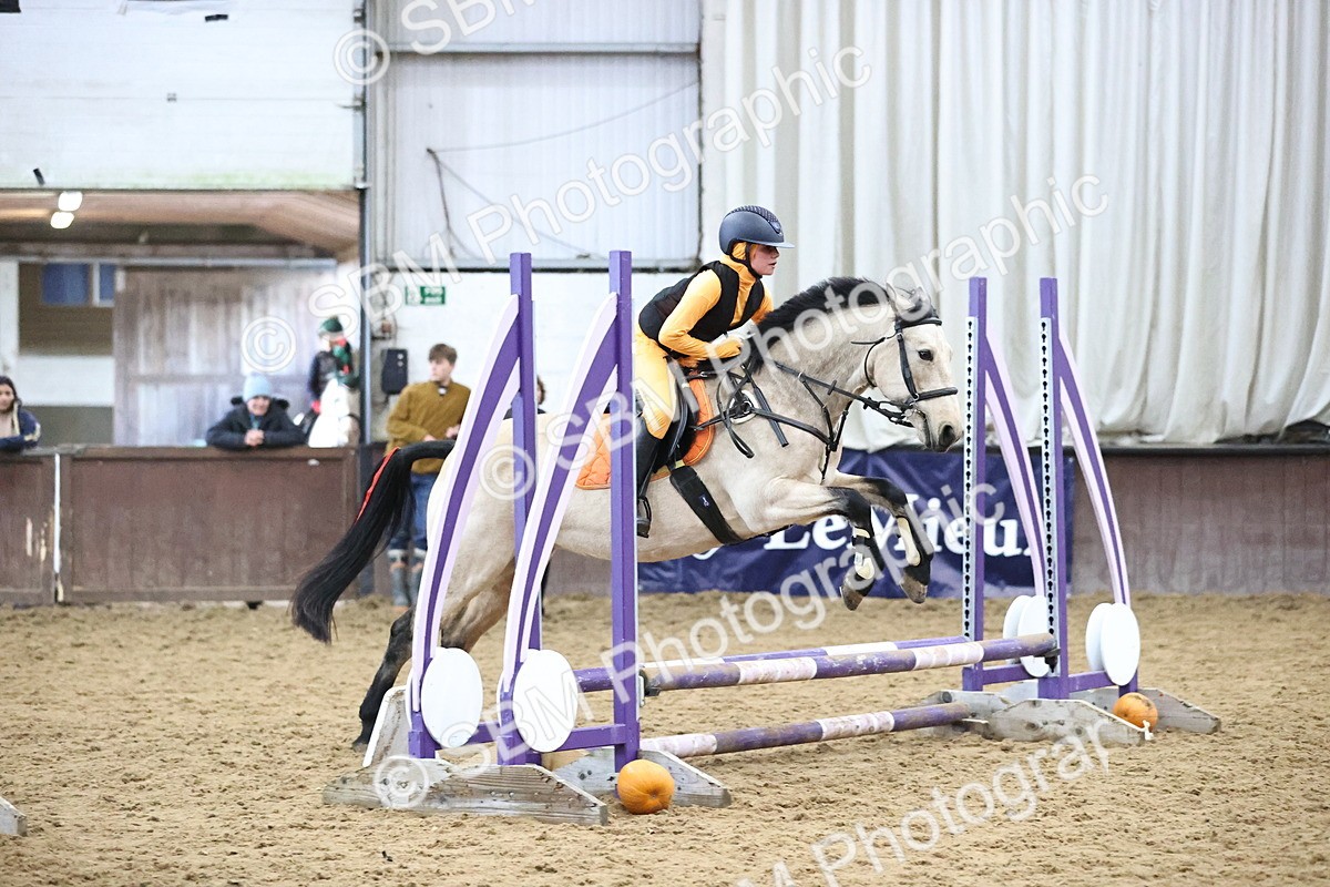 SBM_001236 - Class 3 - Horse & Hound 60cm