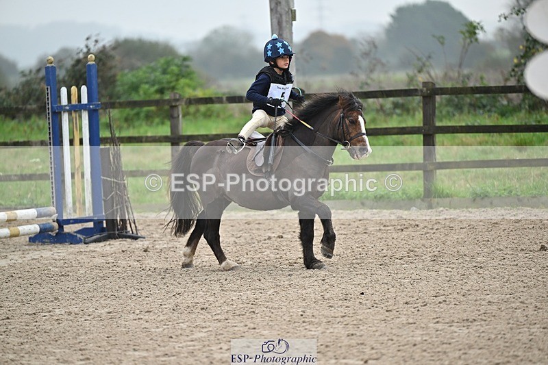 241110-094011-00049 - 40cm Showjumping