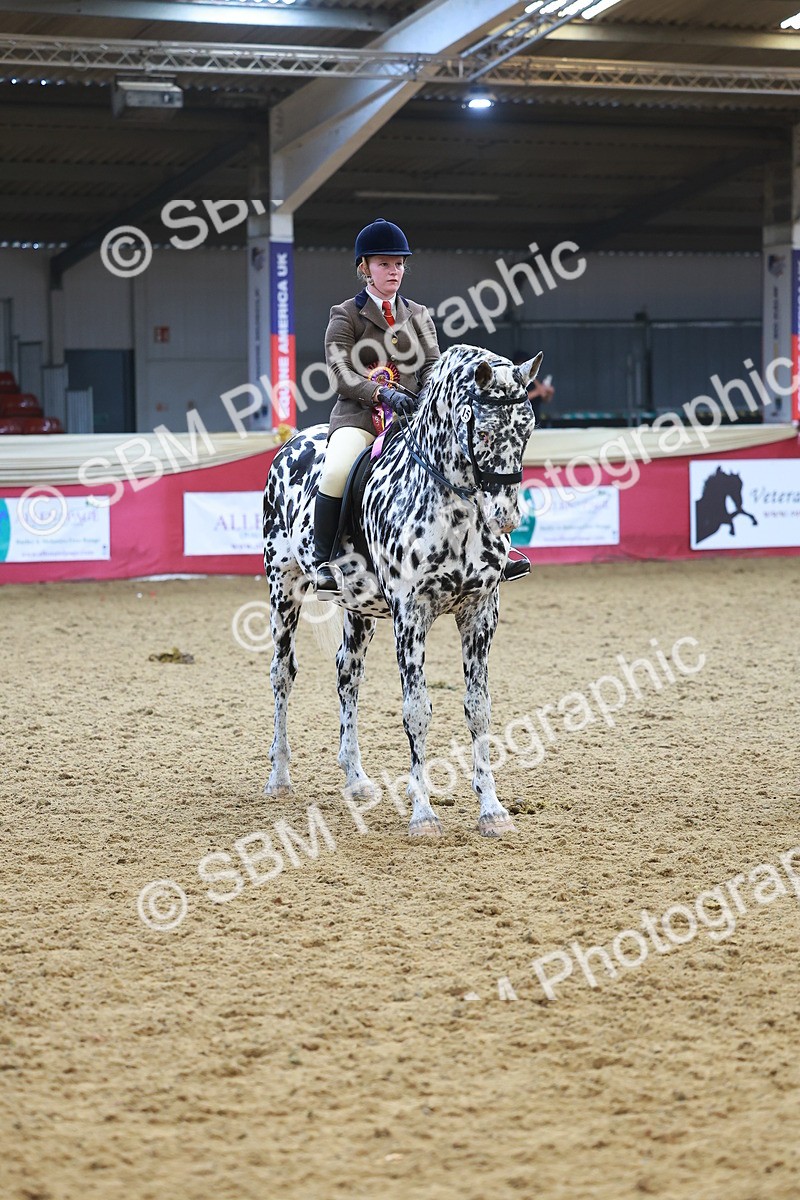 SBM_12702 - Class 103 - HOYS Veteran Qualifier - Ridden Pre Vet