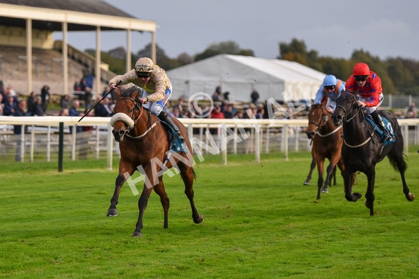 131023-Race 5-Irish Nectar-9676 - Race 5 4.25pm Parsonage Hotel And Cloisters Spa Nursery Handicap