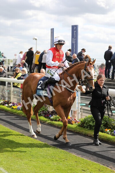 yr12052022r5-2 - Race 5 4.10pm British Stallion Studs EBF Westow Stakes