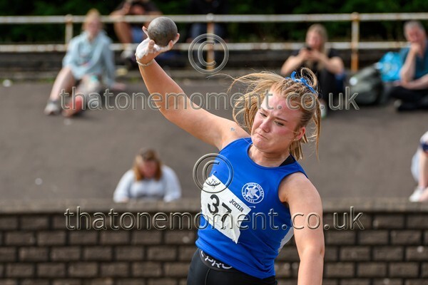 Sen25SUN-927864 - Field Female Set Two