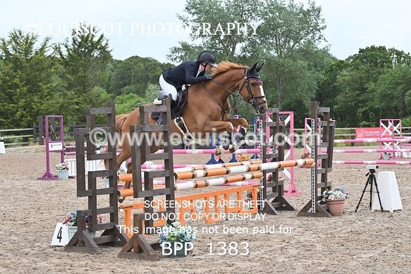 BPP_1383 - CLASS 11 SAT Ariat Senior BritiNovice 2ND ROUND