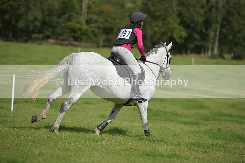 RAY_8778 - Class 2: Trekenning Open: Wall