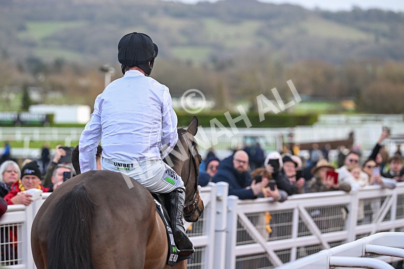 250125-Race 5-Constitution Hill-4601 - Race 5