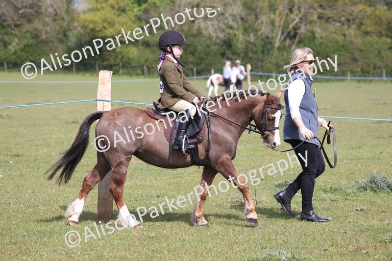 20260426-0559 - Class 31 - Leading Rein