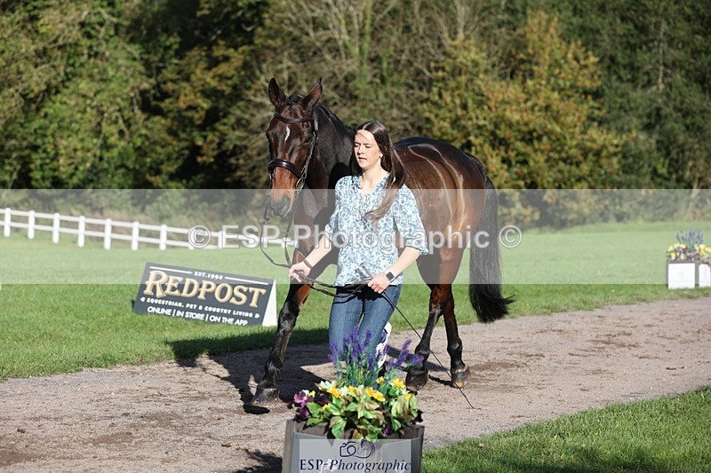 241027-094748-15511 - 325-Isobel.Gardner-FAERE.VENTURE