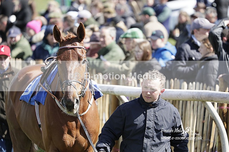 PtP 100423 468 - Old Berkshire Point-to-Point Lockinge 10/04/23