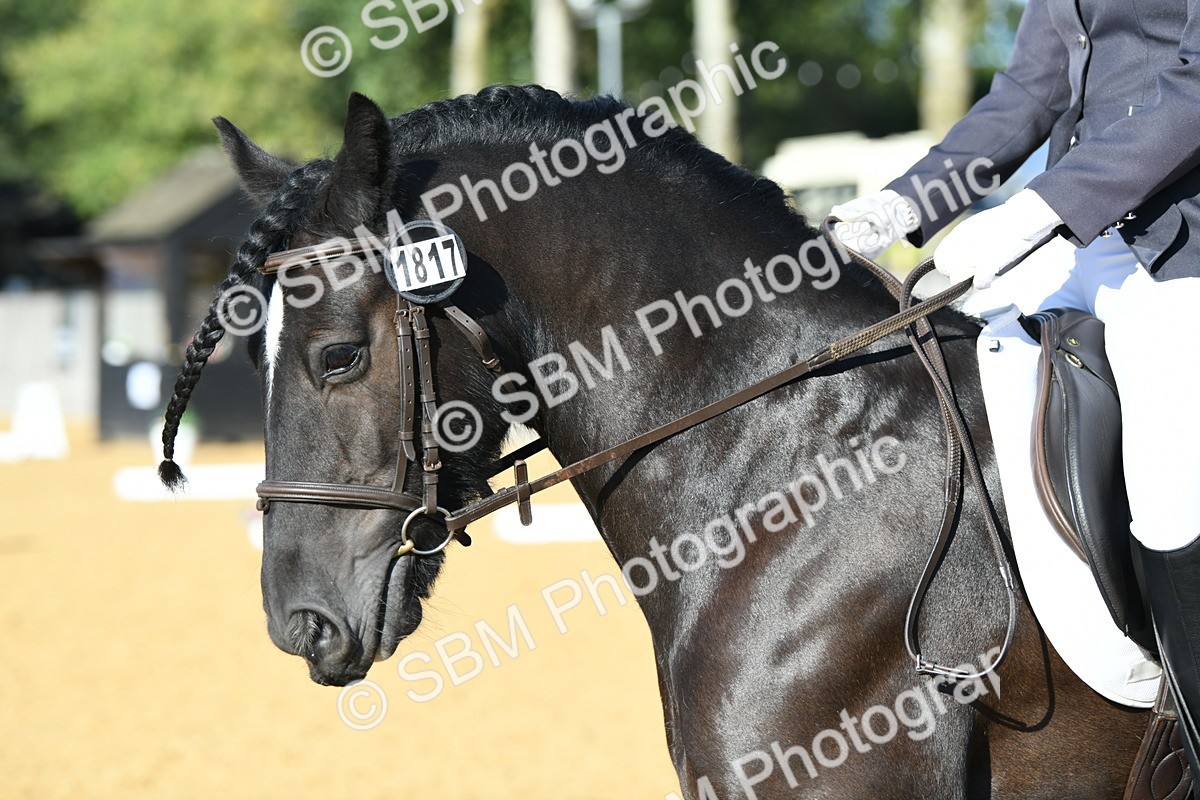 SBM_28452 - D16 - Small Tour Championship - Novice 28