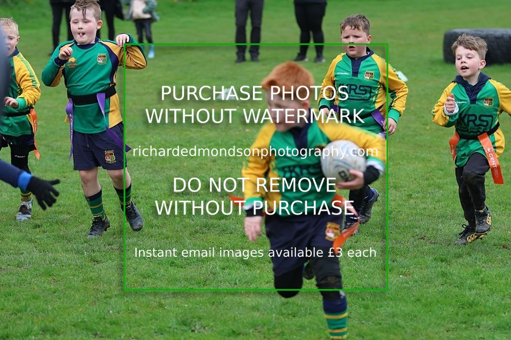 533A5136 - Fleetwood Rugby Under 7's (12/4/26)