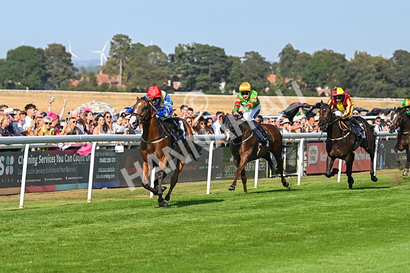 130825-Race 7-Tees Aggregates-9689 - Race 7