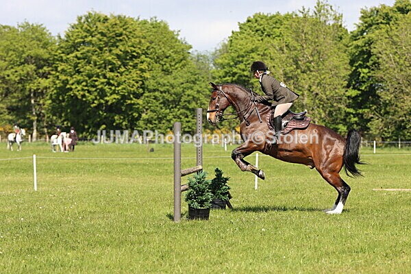 IMG_4458 - Working Hunter