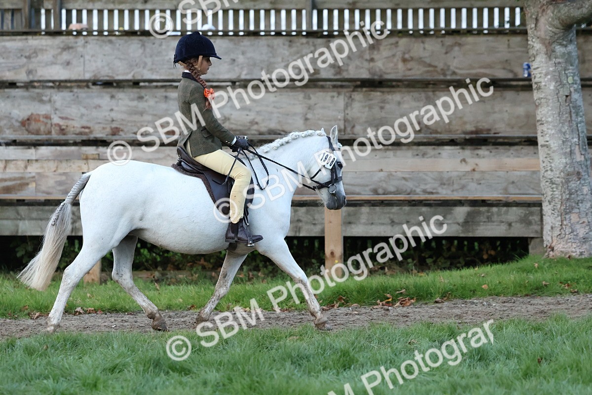 SBM_53435 - Super Supreme Championship (Sat)