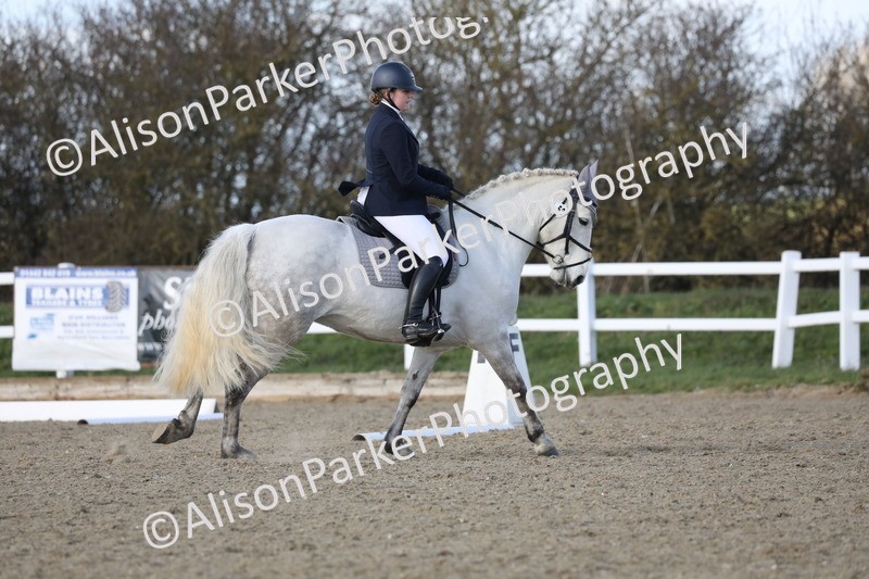 20260314-5094 - CT6 - Elementary 1