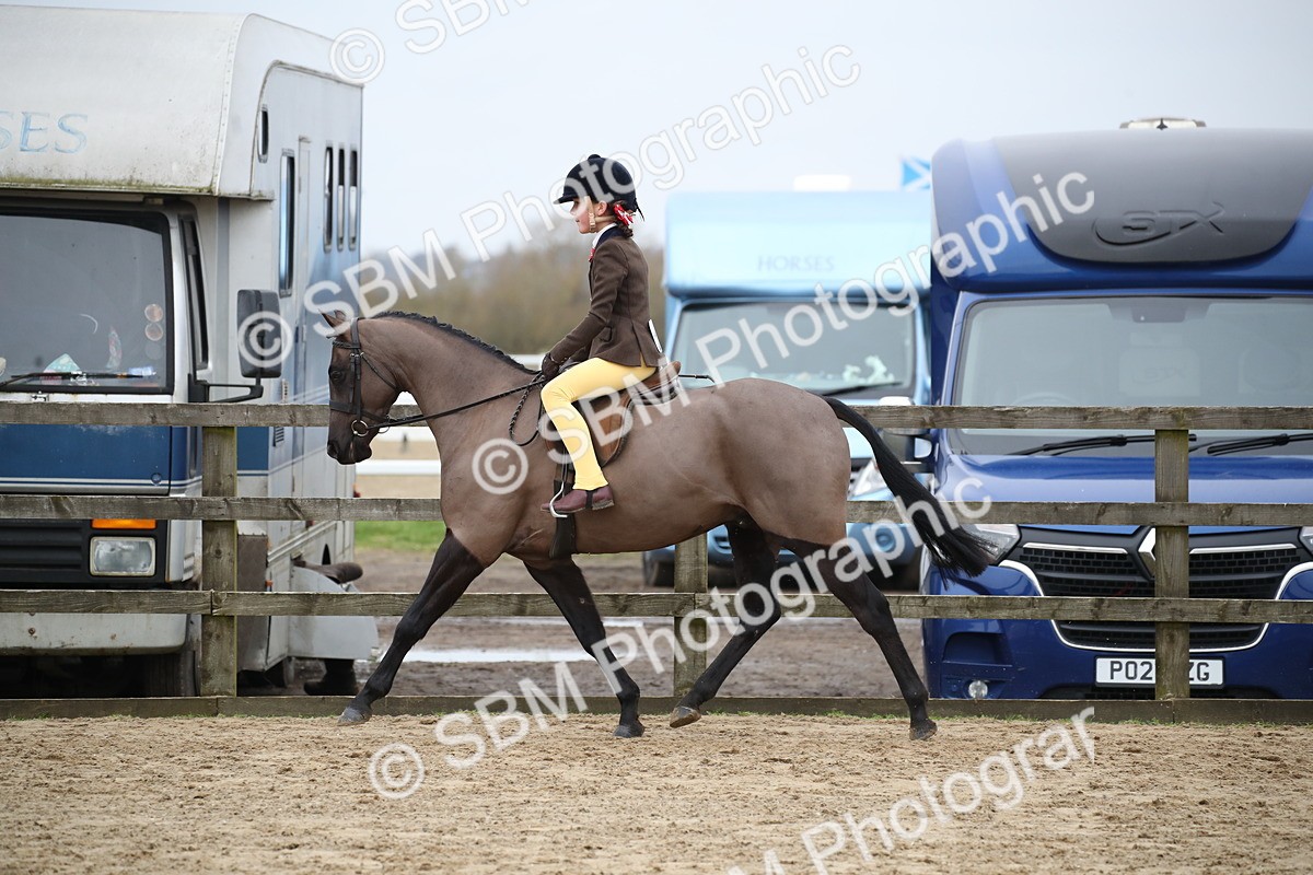 SBM_004609 - Class 5-9 - NPS In Hand-Show Hunter-Intermediate Ridden Inc Ridden Championship