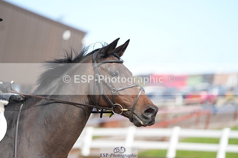 250911-141433-02227 - Cls 13 1.05m Amateur Champ