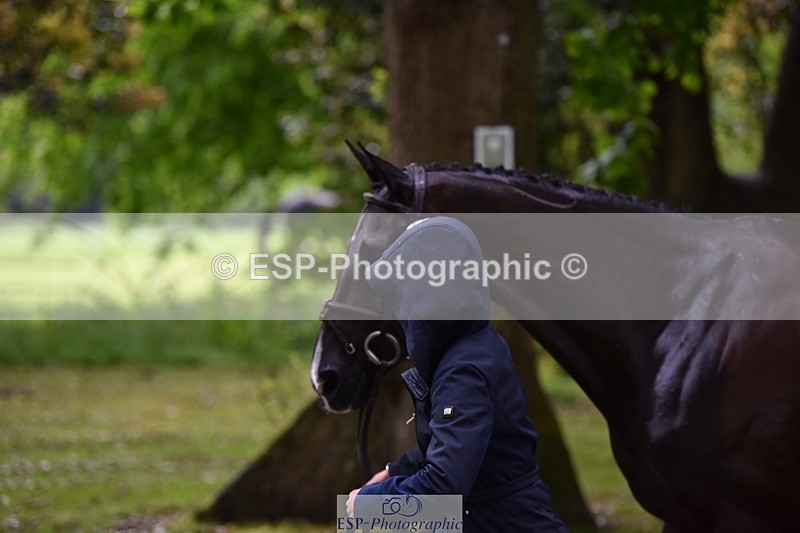 240522-152608-00340 - 353-BIKINI-Rose_De_Montmorency