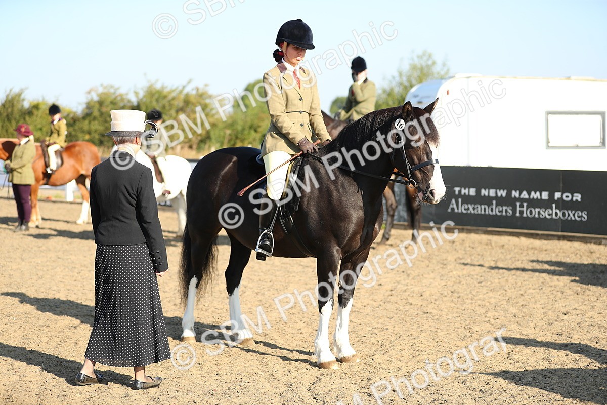 SBM_00425 - Class 41 Best Turned Out Ridden