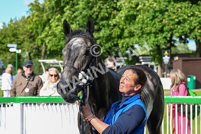 060625-Race 8-Arabian Cobra-5805 - Race 8