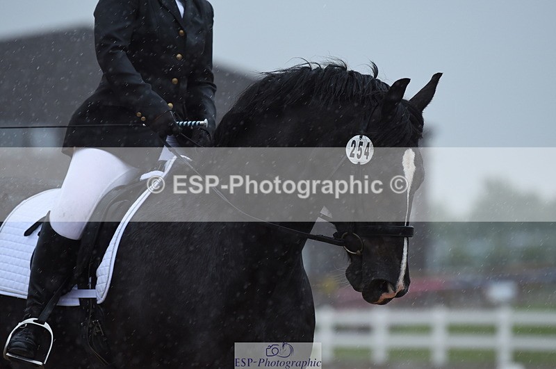 230708A-123130-01734 - Prelim 7