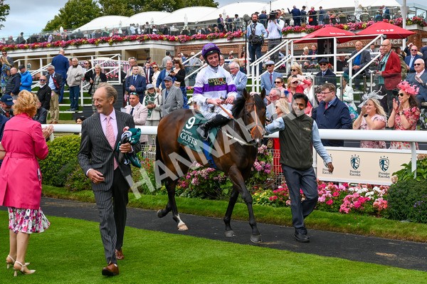 220824-Race 2-Diligently-6513 - Race 2 2.25pm Harry's Half Million By Goffs Premier Yearling Stakes