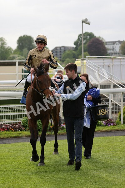 yr13052022r6-36 - Race 6 4.45pm Yorkshire Equine Practice Stakes