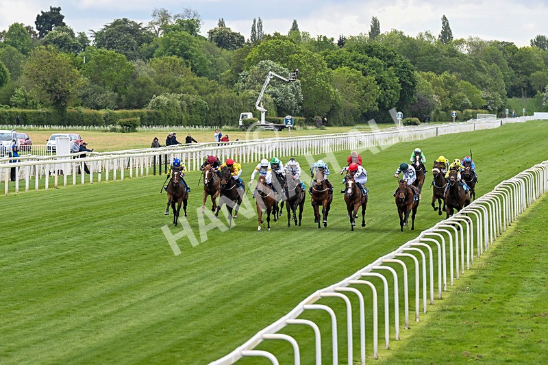 130526-Race 6-Startled-0323 - Race 6 4.40pm Conundrum HR Consulting Handicap