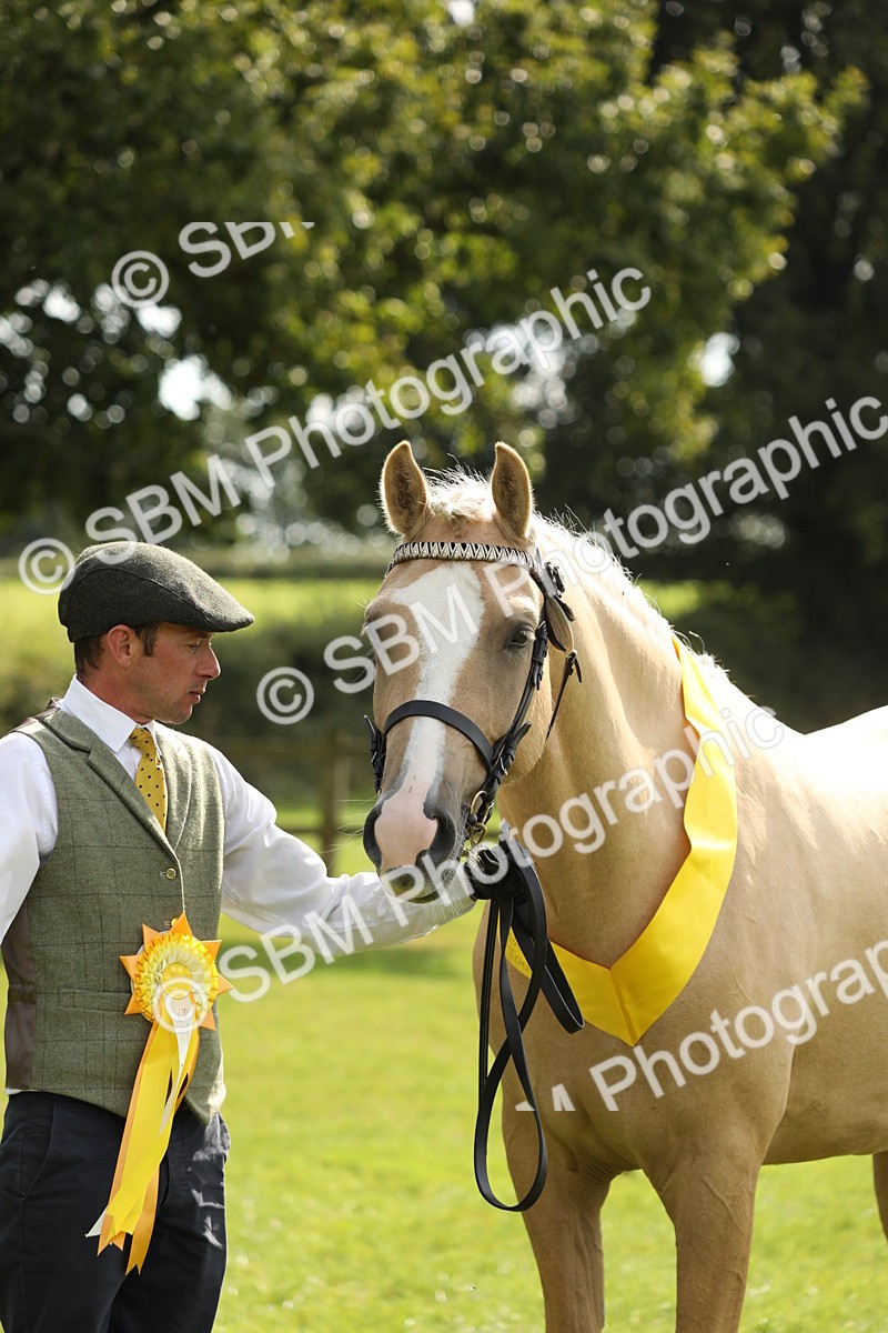 SBM_66310 - In Hand Pony & Youngstock Supreme Championship