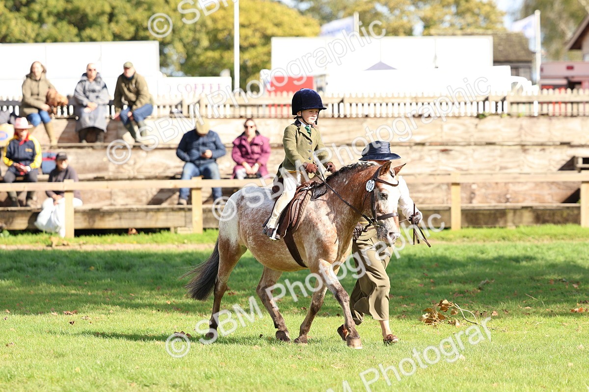 SBM_47738 - S28 - Veteran Ridden