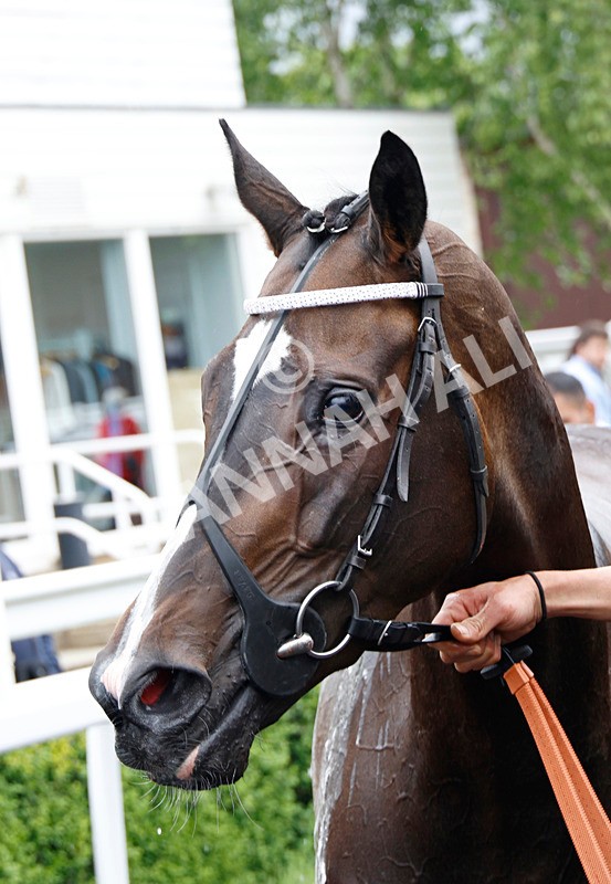 240525-Race 6-Grizzieblanca-8 - Race 6