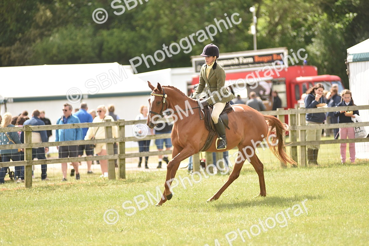 SBM_15113 - Class 113-114 - Retraining of Racehorses Ridden