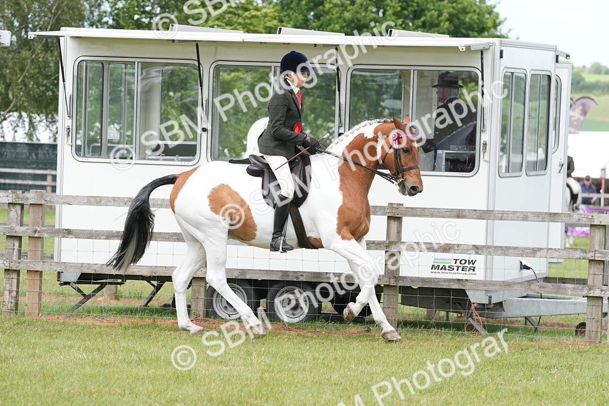 SBM_17648 - Class 107-108 - LIHS BSPS Performance Coloured Horse Pony