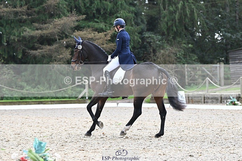 231019-145309-04304 - 057-OVERTON.TILANA'S.GOLD-Claire.Deuten-DR