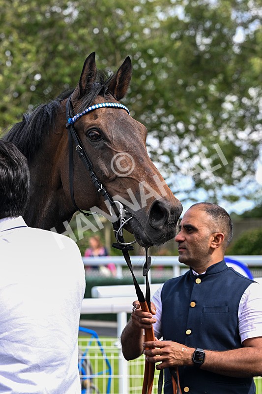040726-Race 4-Al Aasy-4644