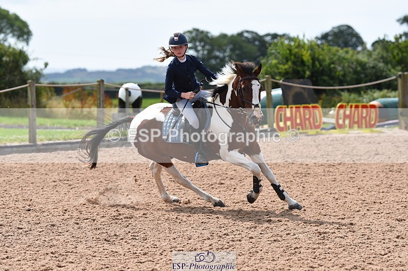 230716A-102552-02014 - Cls 35 Springboard 128cm & 138cm