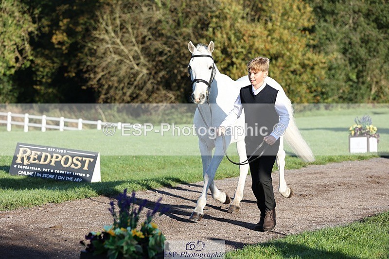 241027-084812-14830 - 381-William.Falango-JUST.BE.JACK