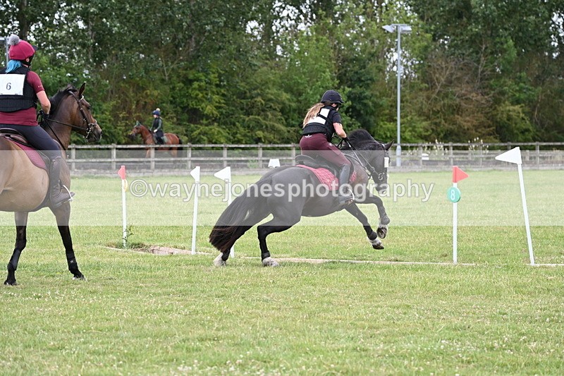 WJ6_5731 - 60cm Pairs XC
