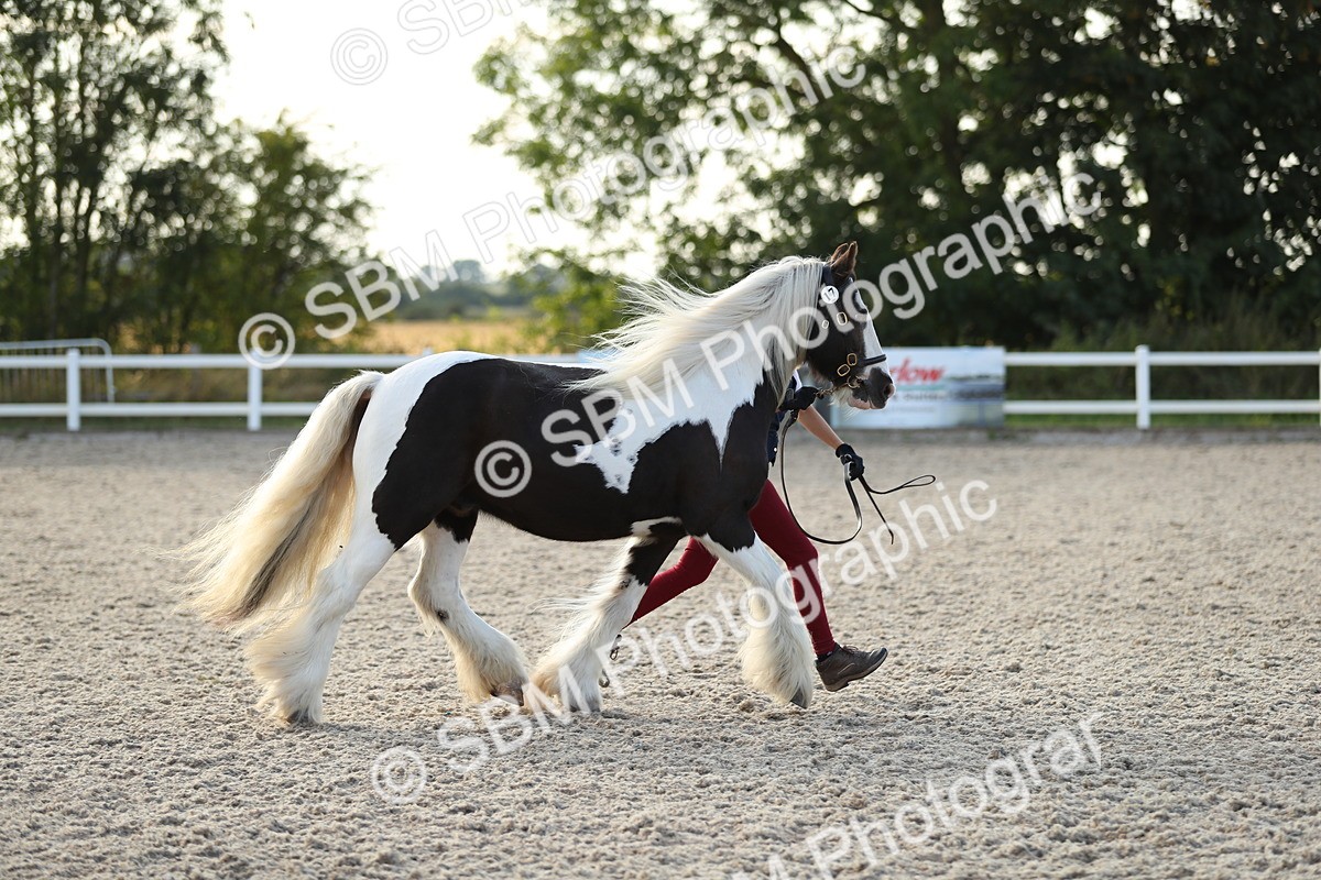 SBM_08902 - Class 29 IH Veteran Pony