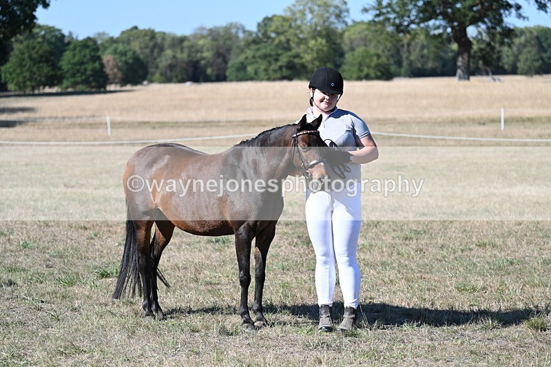 WJ7_2120 - Class 44 Child's Best Friend