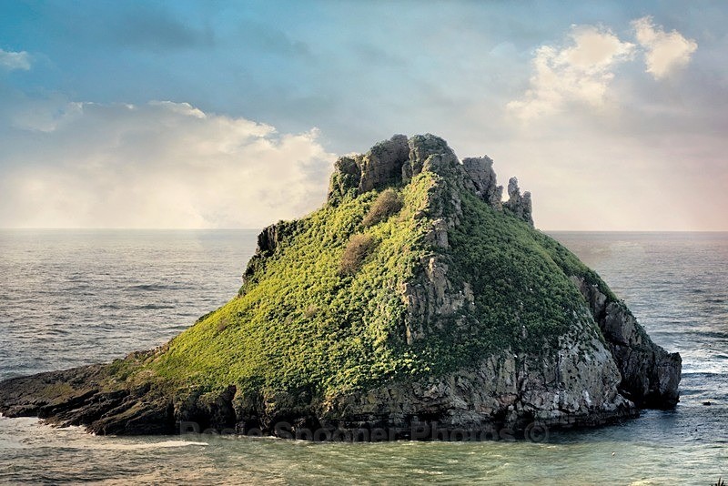 Close up of Thatcher Rock looking very verdant - Meadfoot Beach Torquay