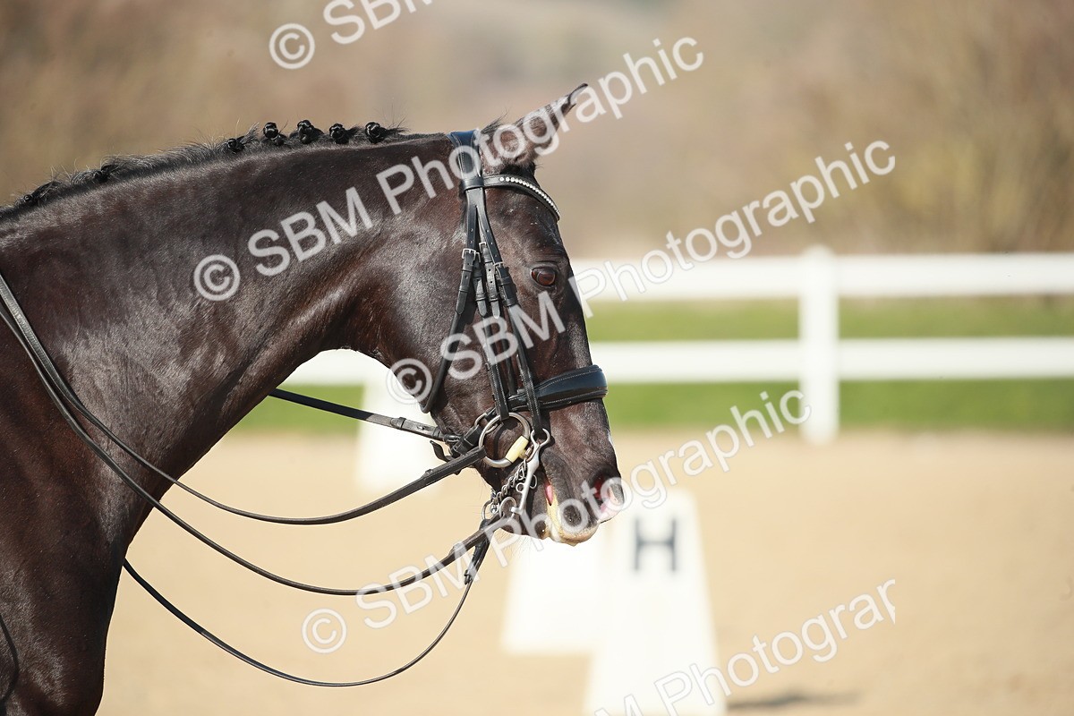 SBM_008646 - Class 24 - Advanced medium 5