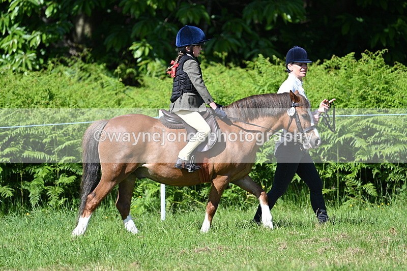 WJ7_0764 - Class 8 First Rally Pony