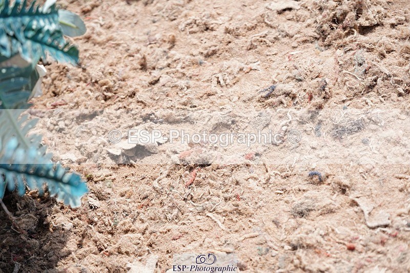 250511-143040-14294 - Cls 34 1.05m Amateur Quali