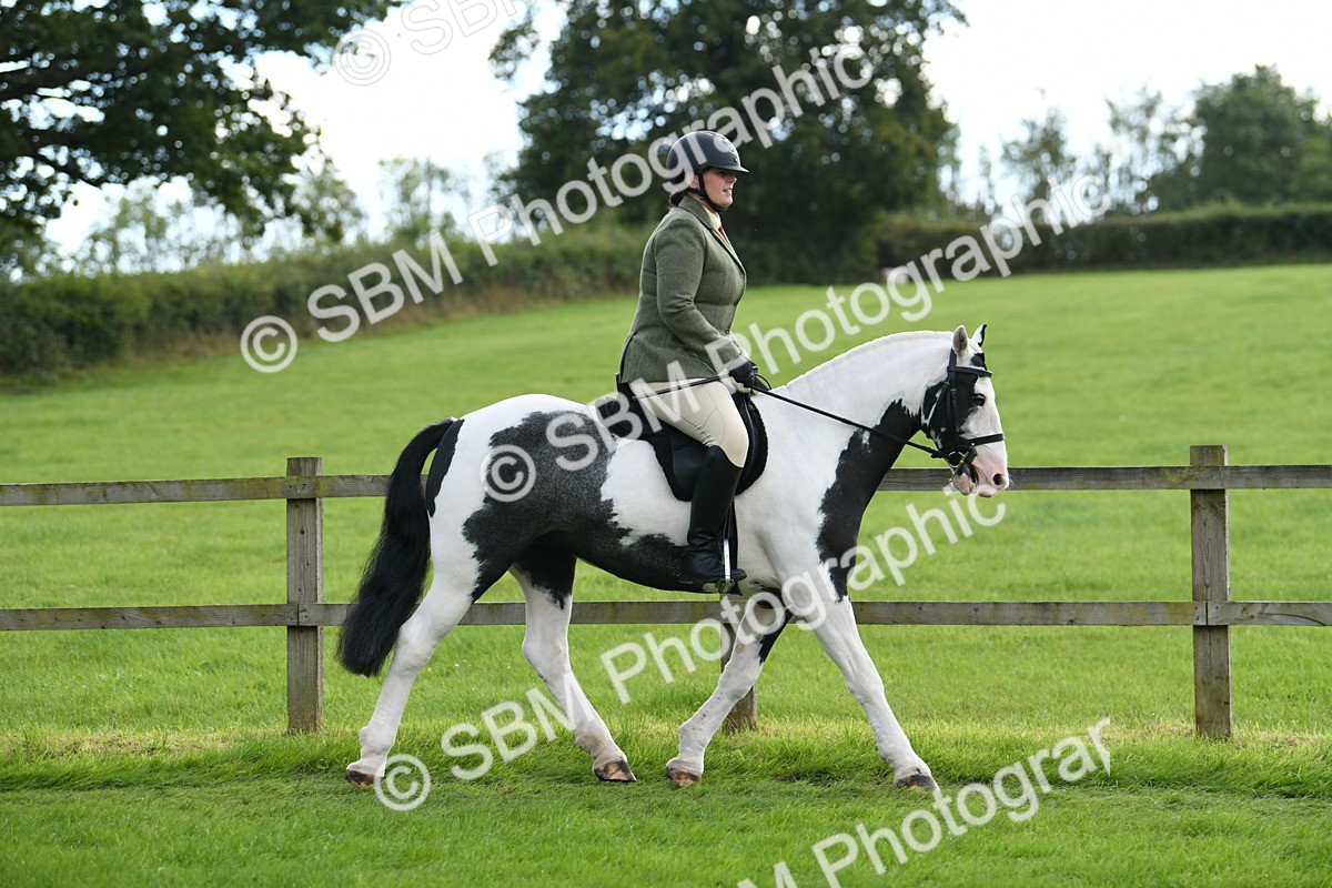 SBM_46716 - S12 - Family Horse & Pony