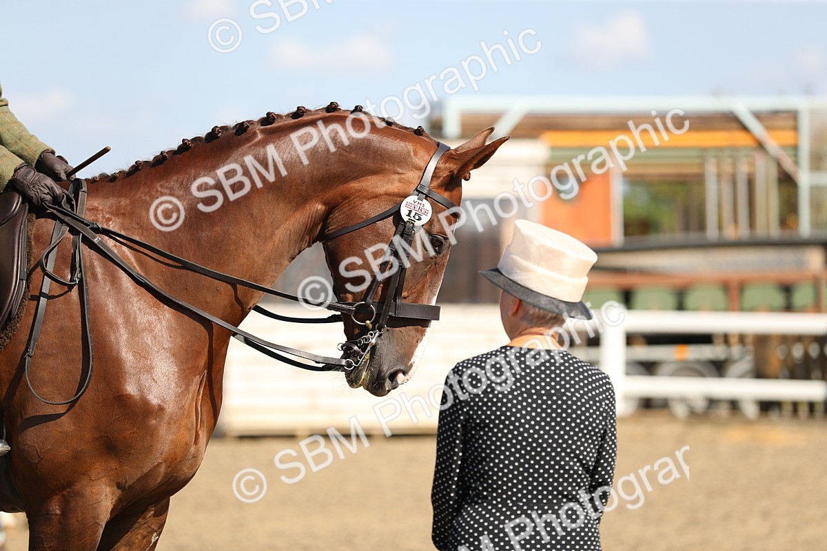 SBM_02333 - Class 43 Ridden Competition Horse/Pony